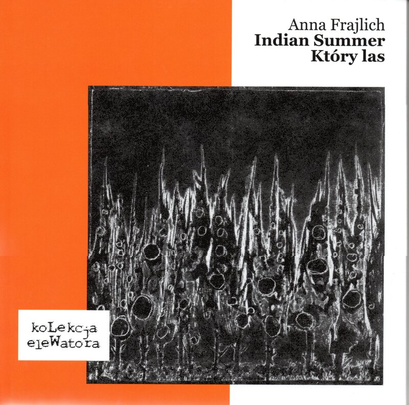 Cover of Indian Summer / Który Las